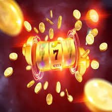 55nn bet